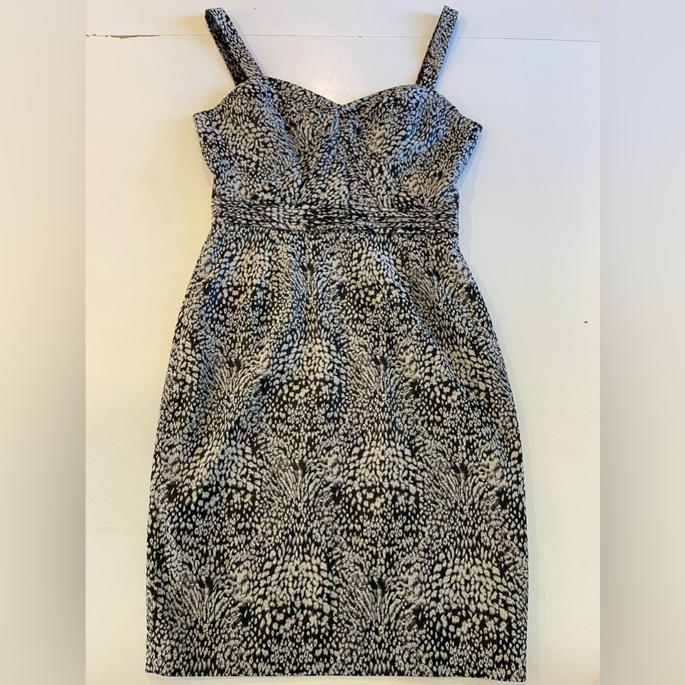 ZSpoke Zac Posen New York Dress